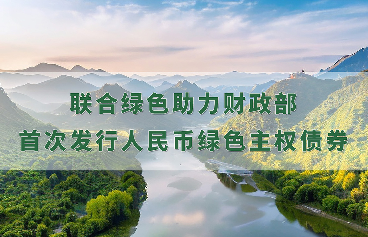 项目